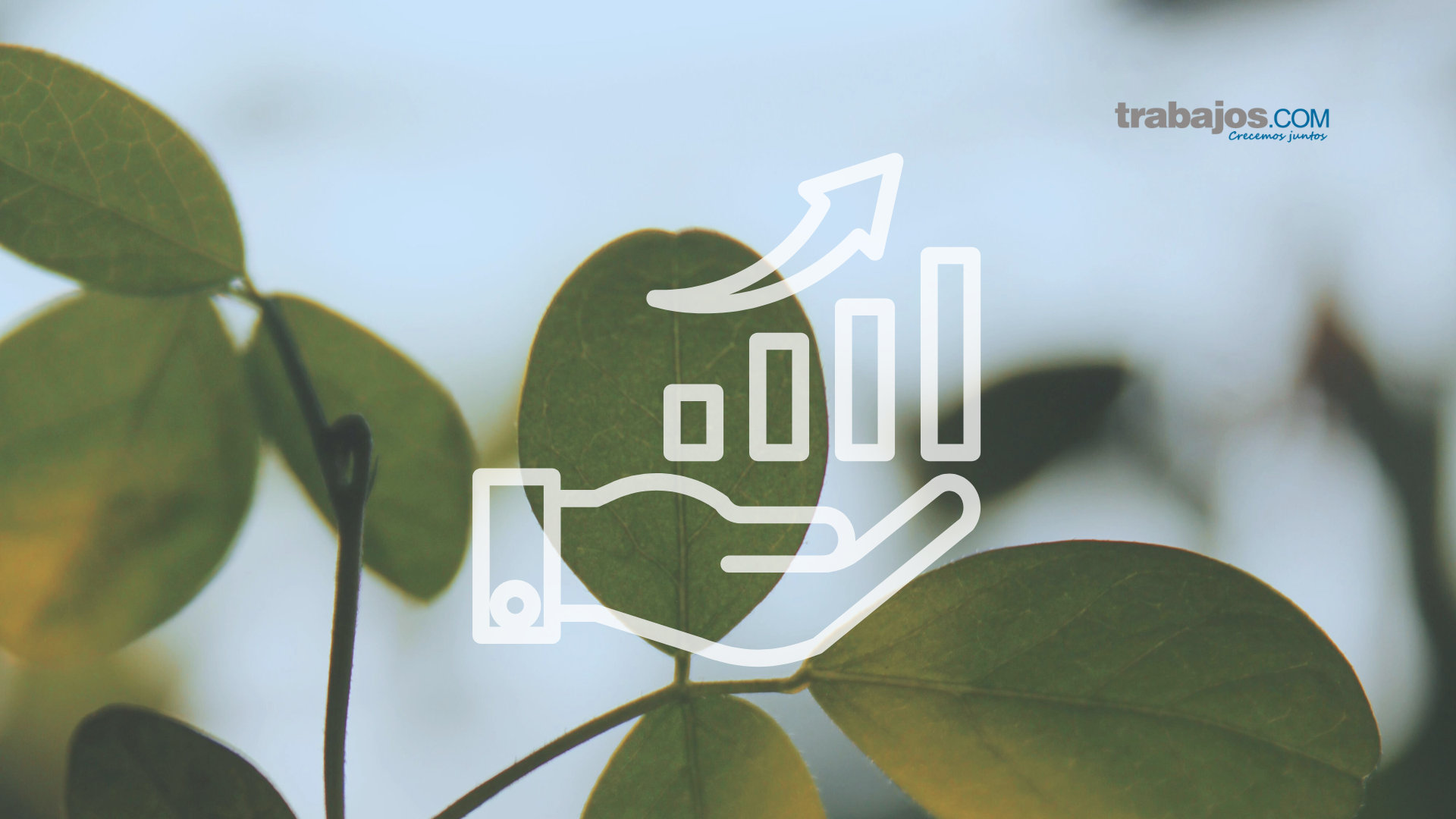 Sostenibilidad en el trabajo y empleo responsable en empresas