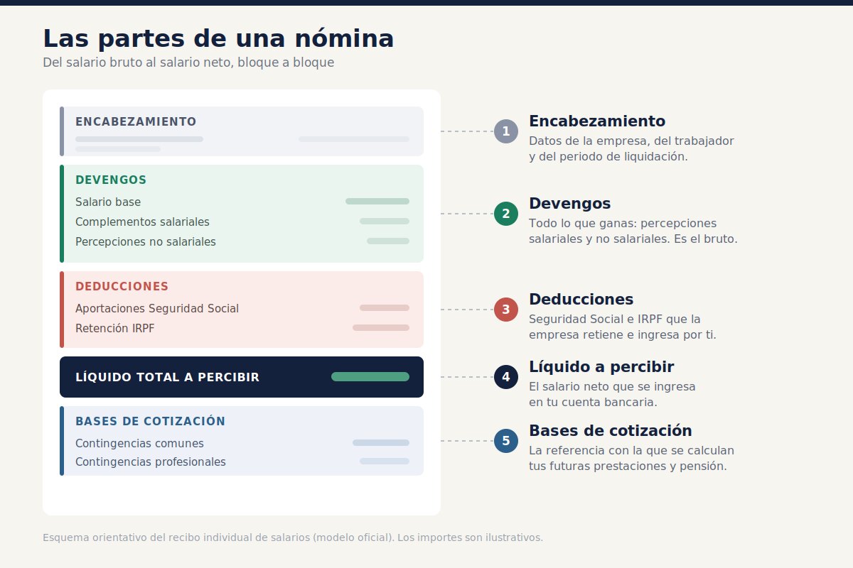 Partes de una nómina: devengos, deducciones y bases de cotización